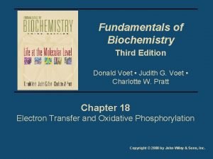 Fundamentals of Biochemistry Third Edition Donald Voet Judith