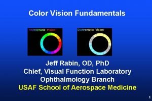 Color Vision Fundamentals Jeff Rabin OD Ph D