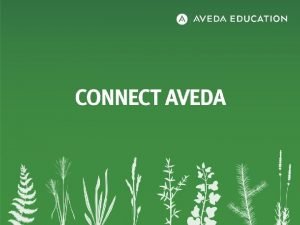 Aveda service cycle