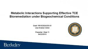 Metabolic Interactions Supporting Effective TCE Bioremediation under Biogeochemical