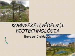 KRNYEZETVDELMI BIOTECHNOLGIA Bevezet elads biotechnolgia biolgiai anyagok folyamatok