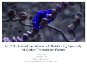 REPSADirected Identification of DNABinding Specificity for Orphan Transcription