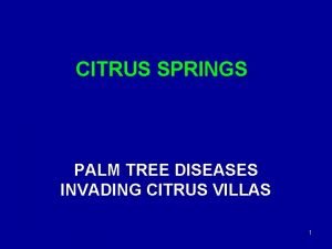 CITRUS SPRINGS PALM TREE DISEASES INVADING CITRUS VILLAS