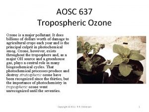 AOSC 637 Tropospheric Ozone is a major pollutant