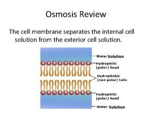 Osmosis Review The cell membrane separates the internal