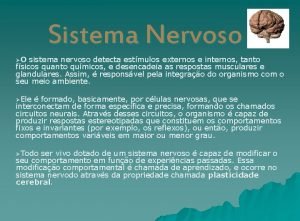 Sistema nervoso autonomo Sistema nervoso autonomo