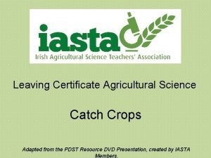 Leaving Certificate Agricultural Science Catch Crops Adapted from