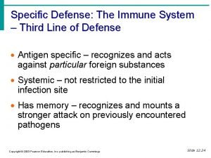 Third line of defense immune system