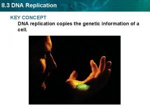 8 3 DNA Replication KEY CONCEPT DNA replication