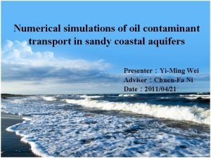 Numerical simulations of oil contaminant transport in sandy