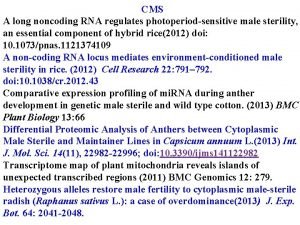 CMS A long noncoding RNA regulates photoperiodsensitive male