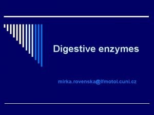 Digestive enzymes mirka rovenskalfmotol cuni cz Various organs