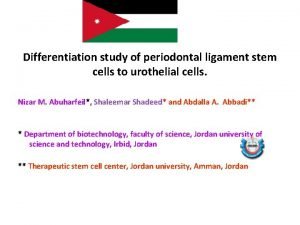 Differentiation study of periodontal ligament stem cells to