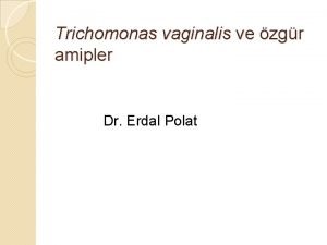 Trichomonas vaginalis ve zgr amipler Dr Erdal Polat