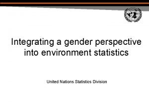 Integrating a gender perspective into environment statistics United