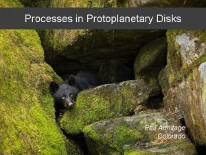 Processes in Protoplanetary Disks Phil Armitage Colorado Processes