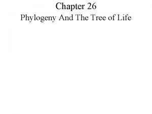 Chapter 26 Phylogeny And The Tree of Life