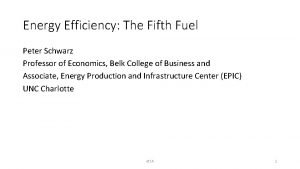 Energy Efficiency The Fifth Fuel Peter Schwarz Professor