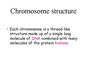 Chromosome structure Each chromosome is a thread like