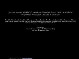 Hypoxia Induces VEGFC Expression in Metastatic Tumor Cells