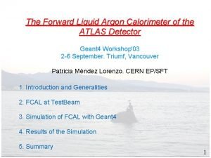 The Forward Liquid Argon Calorimeter of the ATLAS