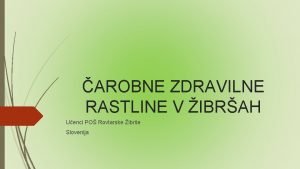 AROBNE ZDRAVILNE RASTLINE V IBRAH Uenci PO Rovtarske