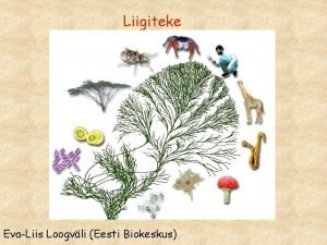 Liigiteke EvaLiis Loogvli Eesti Biokeskus Liigiteke Millal on