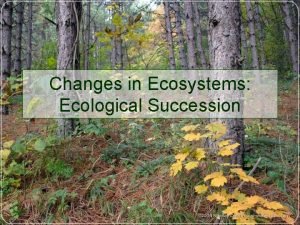 Changes in Ecosystems Ecological Succession Ecological Succession Natural
