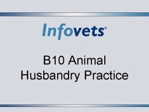 Animal husbandry lesson