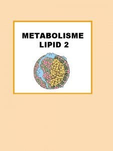 METABOLISME LIPID 2 3 PENGANGKUTAN DAN PENYIMPANAN LIPID