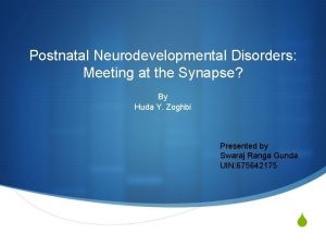 Postnatal Neurodevelopmental Disorders Meeting at the Synapse By