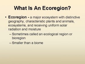What is an ecoregion