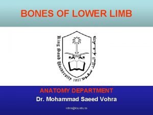 BONES OF LOWER LIMB ANATOMY DEPARTMENT Dr Mohammad