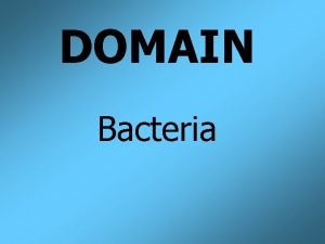 DOMAIN Bacteria PHYLUM Proteobacteria CLASS Gamma Proteobacteria ORDER