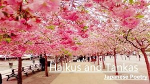 Haikus and tankas