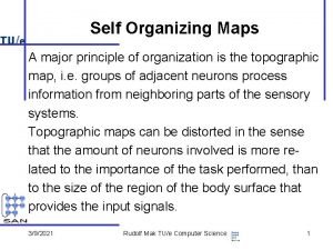 Self organization maps