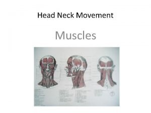 Head Neck Movement Muscles What about muscles Myology