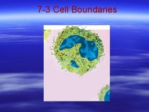 7 3 Cell Boundaries 7 3 Cell Boundaries