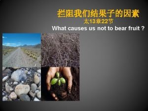 13 22 What causes us not to bear