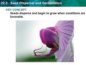 22 3 Seed Dispersal and Germination KEY CONCEPT