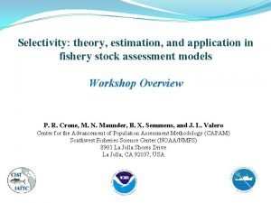 Selectivity theory estimation and application in fishery stock