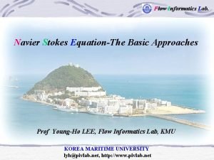 Flow Informatics Lab Navier Stokes EquationThe Basic Approaches