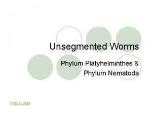 Unsegmented worms examples