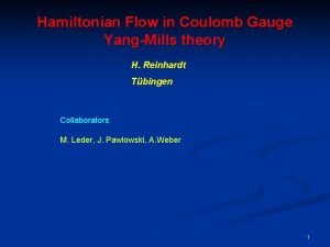Hamiltonian Flow in Coulomb Gauge YangMills theory H