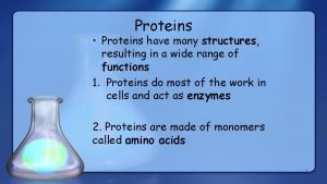 Proteins Proteins have many structures resulting in a