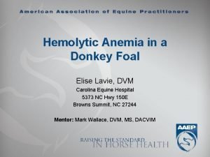 Hemolytic Anemia in a Donkey Foal Elise Lavie