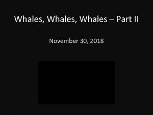 Whales Whales Part II November 30 2018 Mysticeti