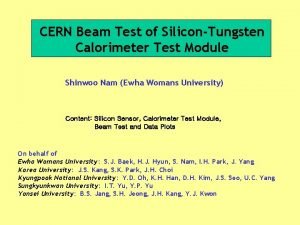 CERN Beam Test of SiliconTungsten Calorimeter Test Module