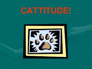 CATTITUDE What does CATS stand for CATS is