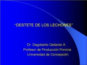 DESTETE DE LOS LECHONES Dr Dagoberto Gallardo A